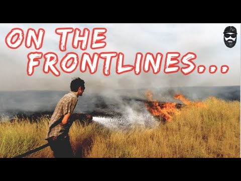 A Hot Start to Canola Harvest!