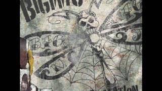 BigWig - Reclamation