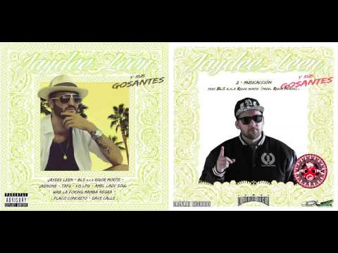 Jaydee Leen feat. BLS aka Rigor Mortis - Musicacción (audio)