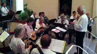 Winnipeg Mandolin Orchestra - Zeleniy Shum