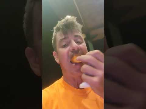 2:00am Coyote vs. Cat #weavethecoyote #howiedewitt #kitten #chicken #play #food #foodie #nature