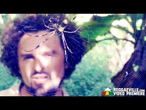 David Cairol - Grow In [Official Video 2019]