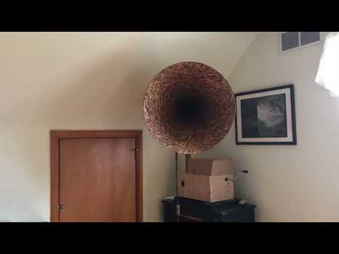 Moonlight and Roses - Waring's Pennsylvanians - 1926