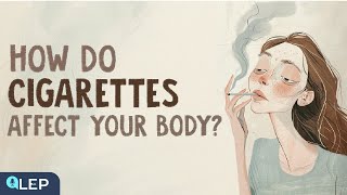 How Do Cigarettes Affect Your Body? | ☕ Hot Sip With Nathan | Beginner