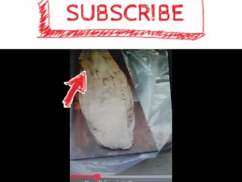 à¦•à¦¬à¦° à¦¦à§‡à¦¯à¦¼à¦¾à¦° à§¨à§¦ à¦¬à¦›à¦° à¦ªà¦°à¦“ à¦…à¦•à§à¦·à¦¤ à¦²à¦¾à¦¶ - YouTube