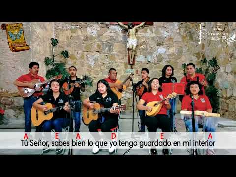Tú Señor (Meditación/vocacional) - 1ra colaboración coro Instrumento de tu paz & Ángeles de Luz