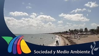 Playas sin riesgo por marea roja | Noticias de Yucatán