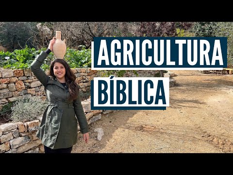 COMO ERA A VIDA NOS TEMPOS DE JESUS? Agricultura bíblica