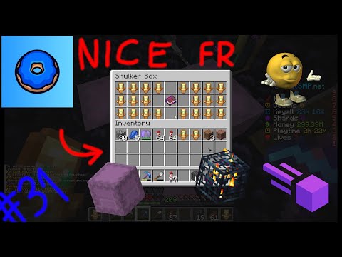 SPoBodos - Raiding 9 BASES on the Donut SMP (cheating on Donut SMP #31) - Meteor Client