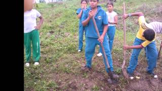 preview picture of video 'VAMOS A REFORESTAR INSEANAR'