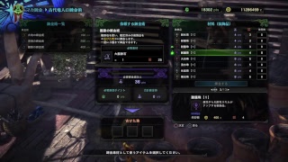 音声無しコメントしながらモンハンワールド