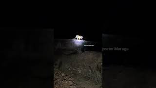 Download lagu # நான் பதுங்குறது பாயத்தான் #Vettai Arambam #vettaiyan mp3