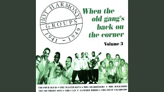 Bell Bottom Trousers