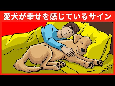 破壊的な犬をどうするか