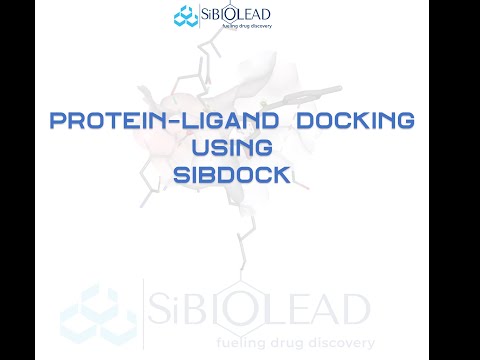 How to perform a simple protein-ligand docking using SiBDOCK module @ SiBIOLEAD