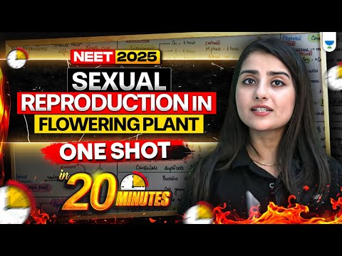🌸 Sexual Reproduction in Flowering Plants One Shot in 15 Mins ⚡ | NEET 2025 🔥 Seep Pahuja