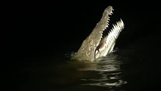 Fishing for Crocs in an Electrical Storm | Deadly 60 | BBC Earth