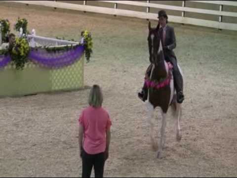 Fairhope Stables