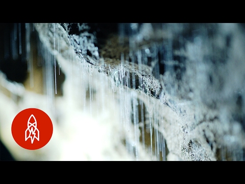 Entre na Caverna dos Vermes Brilhantes