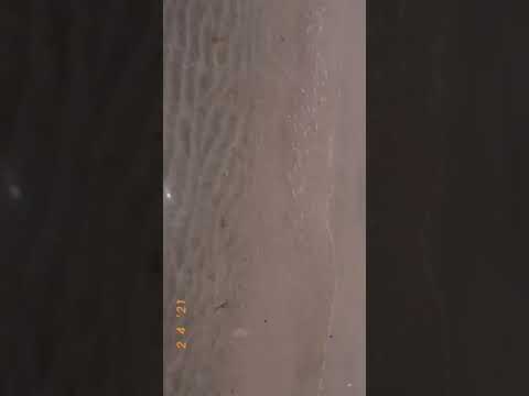 #شاطئ الخبر .. السعوديه..تلاوه رائعه لآيات من القرآن الكريم..سبحان الله العظيم👏