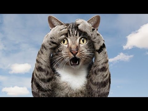 15.000% за пару дней. Такое возможно!!!