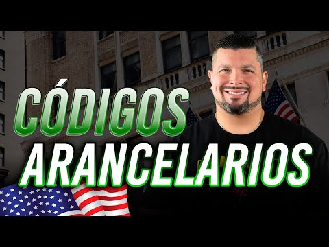Thumbnail for ¿Por qué es importante conocer el código arancelario al exportar? Jeremías Martorell lo explica by R.E.M., P.O.D.