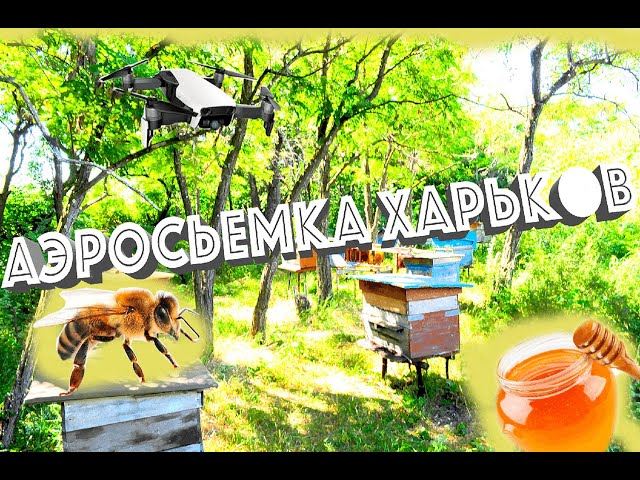 Фото Загородная пасека недалеко от Харькова!
