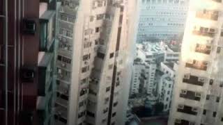 Pam tillis blue roses cover by Dawn!!