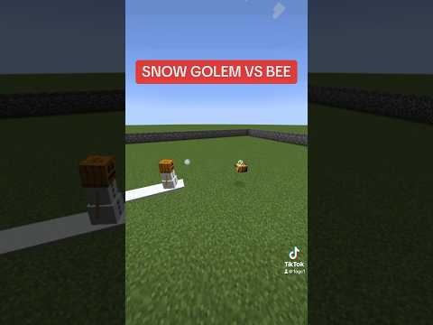 SNOW GOLEM VS BEE #minecraft #minecraftbedrock #minecraftshorts #minecraftmemes #minecraftpe #shorts