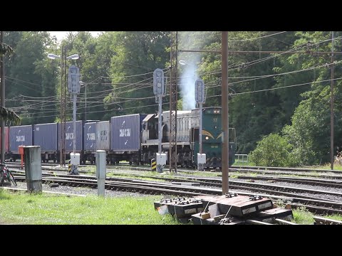 Pragersko, featuring "Regan" Co-Co diesel 664 120 and "Bridgitte" Co-Co electric 363 025.