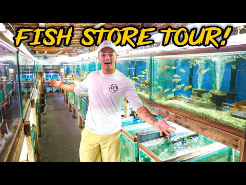 UNDERGROUND FISH STORE with a BUNCH of EXOTIC FISH!! (Full Tour)