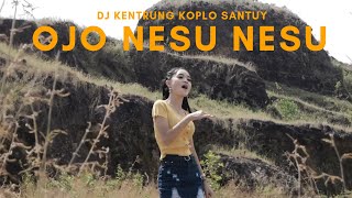 Download lagu Safira Inema - Dj Ojo Nesu Nesu (ANEKA SAFARI) mp3