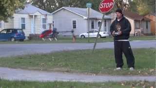 First hover with my new Trex600