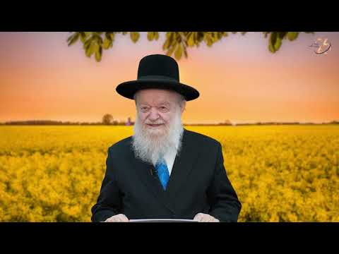 פרשת דברים - תבוסה ונצחון במלחמה כיצד נוצרים? | הרב יוסף צ. בן פורת - תשפ"ה