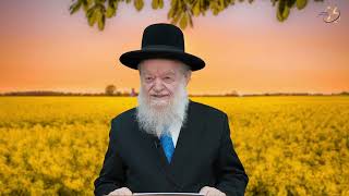 פרשת דברים - תבוסה ונצחון במלחמה כיצד נוצרים? | הרב יוסף צ. בן פורת - תשפ"ה (הרב יוסף צבי בן פורת) - התמונה מוצגת ישירות מתוך אתר האינטרנט יוטיוב. זכויות היוצרים בתמונה שייכות ליוצרה. קישור קרדיט למקור התוכן נמצא בתוך דף הסרטון