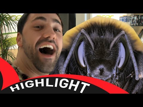 TaKeTV's Showhighlights - ElGehlo Vs. Riesenhummel