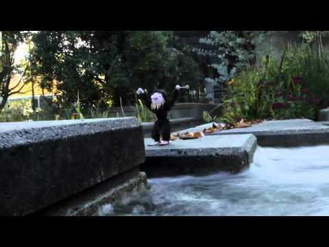 Salomon Freeski TV S4 E19 The Man and the Mammoth