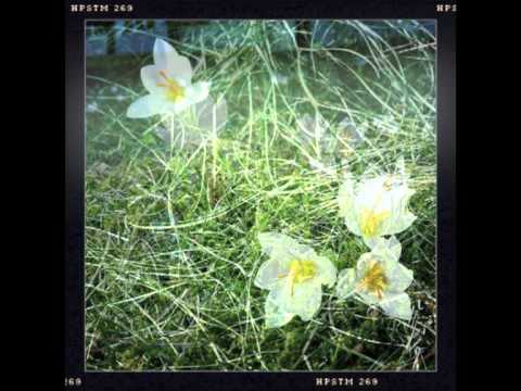 the weekly tune - week 003