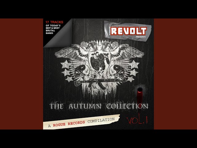 The Last Nova - All In My Head (RBN) (Remix Stems)