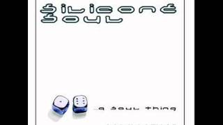 Silicone Soul - Right On (Vocal Version - 12 Discoedit)