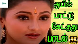 Kuiyil Pattu  குயில் பாட்ட�