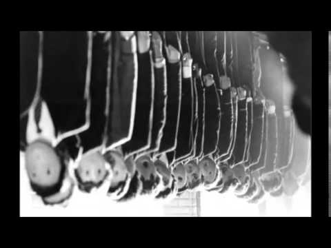 RFB- STHN POLH MOU FWTIES[96]