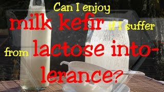 Can I enjoy home-made milk kefir made with kefir grains if I suffer from lactose intolerance?