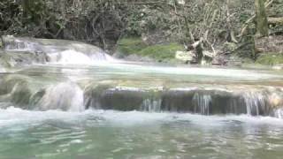 preview picture of video 'Cabarita River, Mayfield Falls, Camp Cabarita Eco Lodge Jamaica'