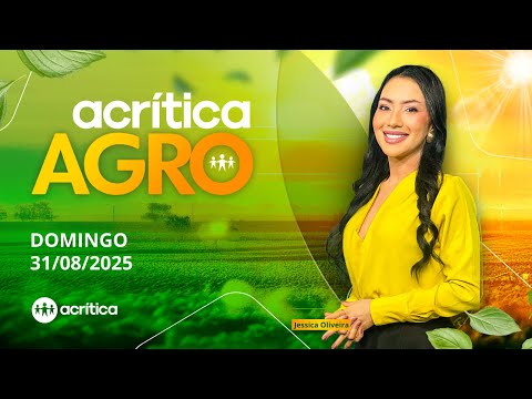 ACRÍTICA AGRO | AO VIVO | 31/08/2025