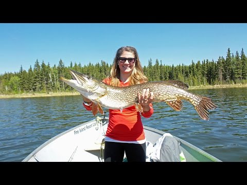 Catching Monster Fish at Pine Island Resort