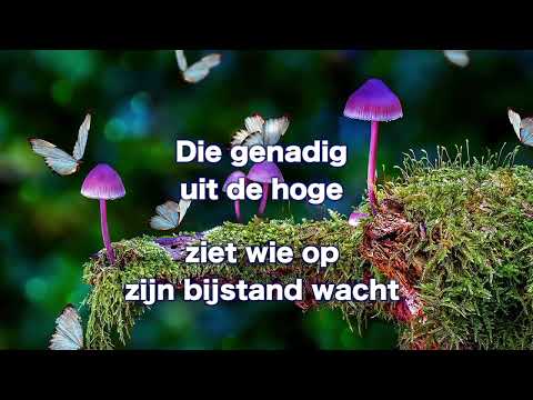 Opwekking 221 prijst de Heer met blijde galmen 1B