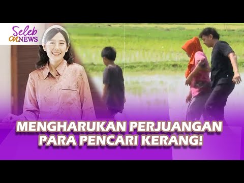 ARDINA RASTI MALU MENGELUH MENYAKSIKAN PERJUANGAN PARA PENCARI KERANG LAUT - SELEB ON NEWS