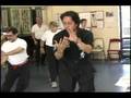 Tai Chi Seminar Part 1 3 把子 太極拳 教學 Wu Tang USA