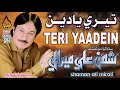 TERE YAADEIN Shaman Ali Mirali Hi Res Audio Album 26 Naz Production